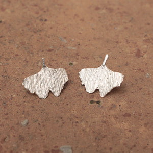 Pendientes plata